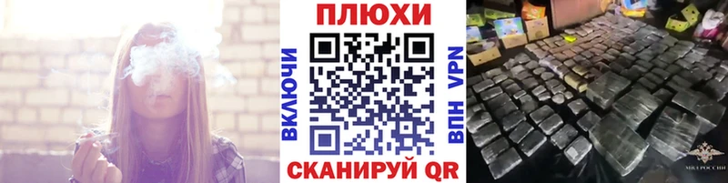 где купить   Карасук  ГАШ Premium 