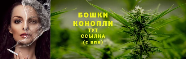 прущий лед Рославль