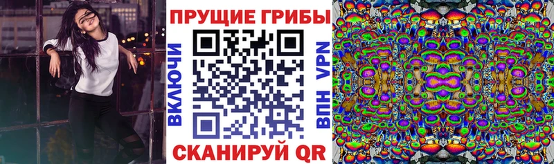 Псилоцибиновые грибы мицелий  Карасук 